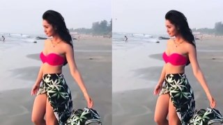 Tridha Choudhury Hot Bikini Videos