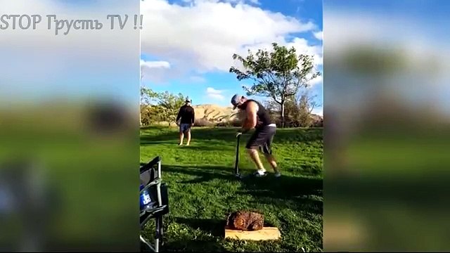 НОВЫЕ ПРИКОЛЫ 2016 Сентябрь ★ ЛУЧШИЕ ПРИКОЛЫ ★ Fail Compilation ★ НЕ ДЕТСКИЕ ПРИКОЛЫ 18 2016 №55