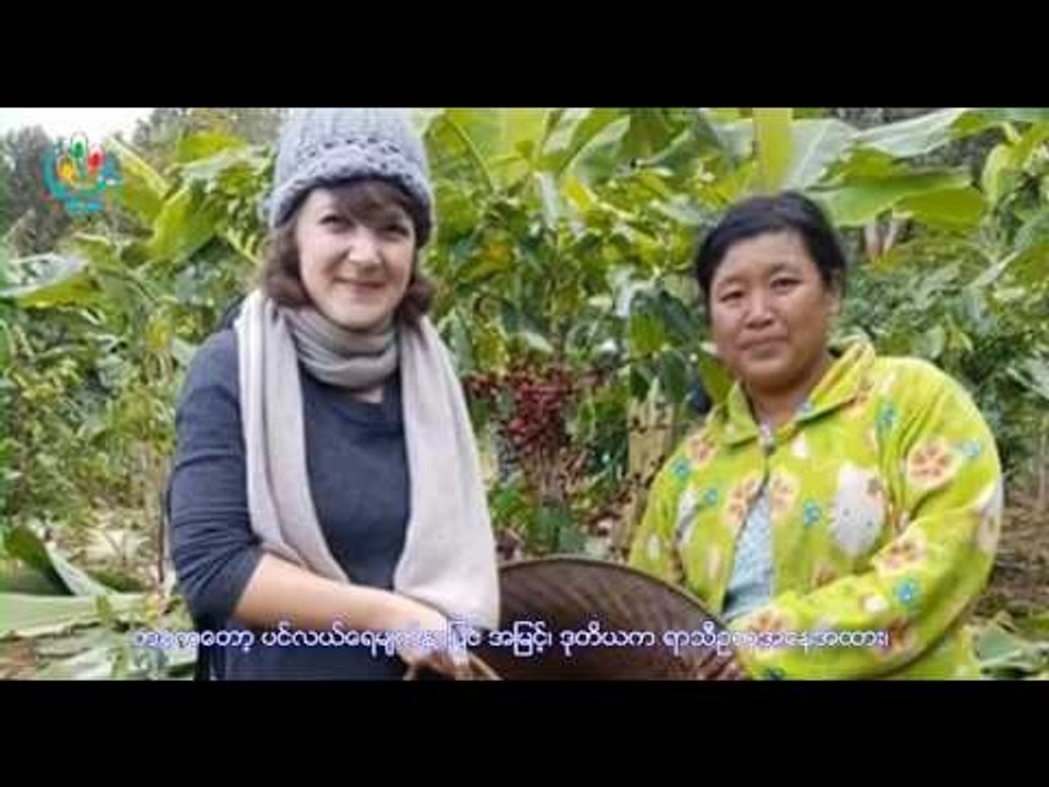 DVB TV - တုိင္းရင္းသားဘာသာ သတင္းအစီအစဥ္(ခ်င္း)