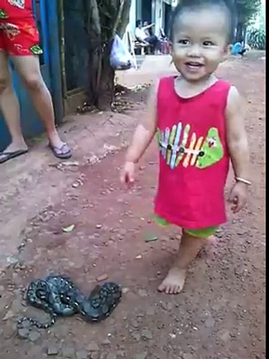 A baby play with a snake OMG I can not believe it. I'm so affraid when I watch this video. It is very dangerous video