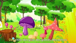 J'ai ramassé des champignons-wnbEc-d5J5s