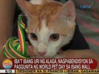UB: Iba't ibang uri ng alaga, nagpabendisyon sa paggunita ng World Pet Day sa isang mall