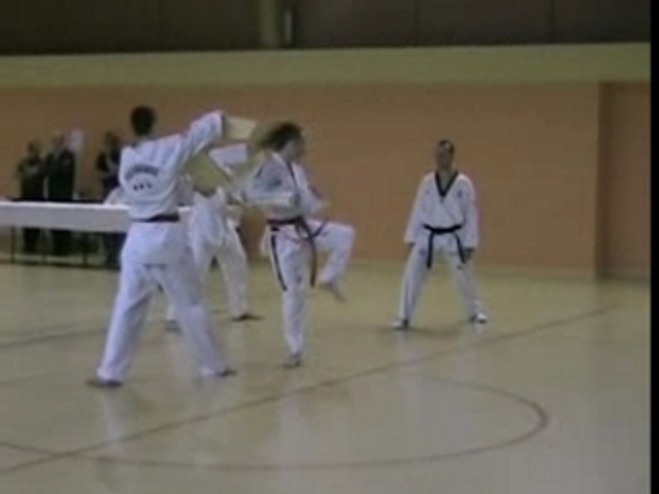 Casse Taekwondo demonstration
