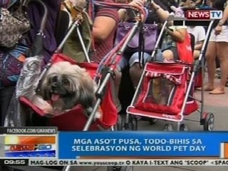 NTG: Mga aso't pusa, todo-bihis sa selebrasyon ng World Pet Day
