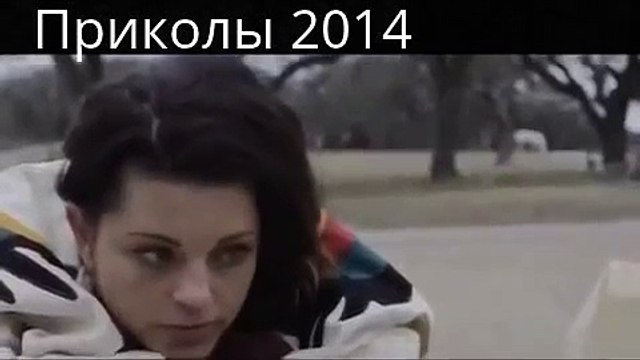 Собака лучший друг человека