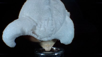 Popping Popcorn At 30,000 Frames Per Second