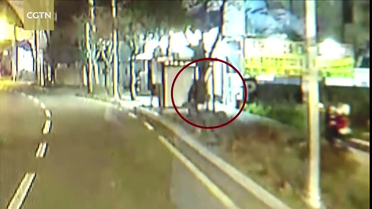 BUS DRIVER STOPS THIEF: NORTH KOREA