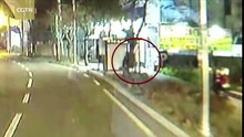 BUS DRIVER STOPS THIEF: NORTH KOREA