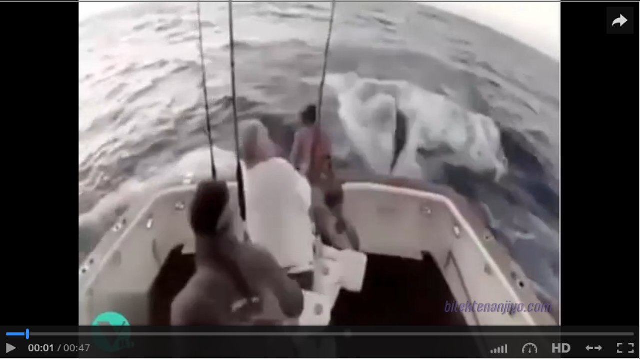 Küçük deniz kazaları