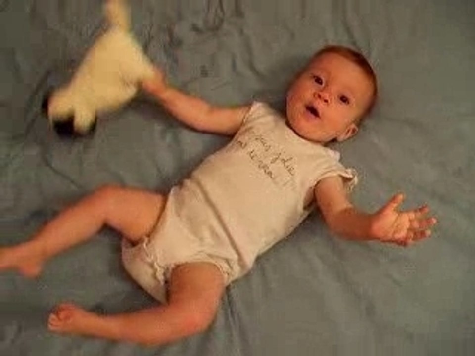 A la poursuite du chien en peluche