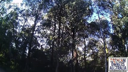 Dash Cam Owners Australia - Best of  Reactions