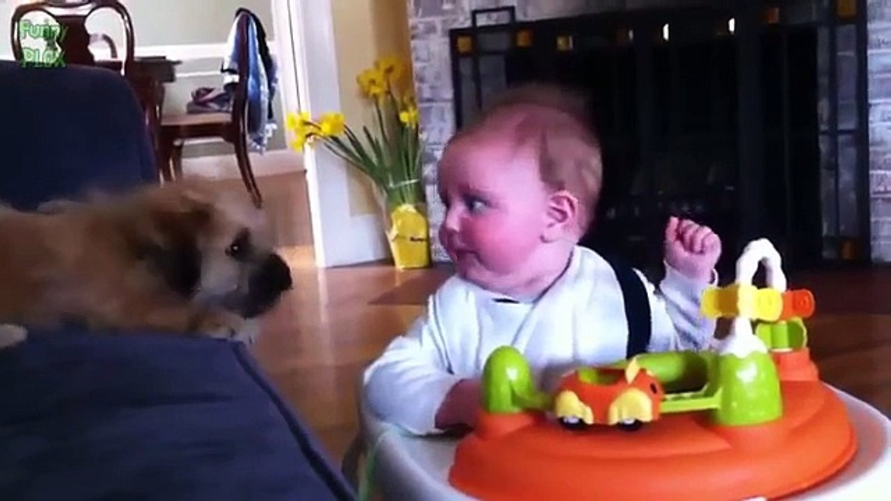 Baby Laughing At Dogs Part 5