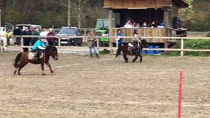 Pony GAMES les Crickets 2016-2017