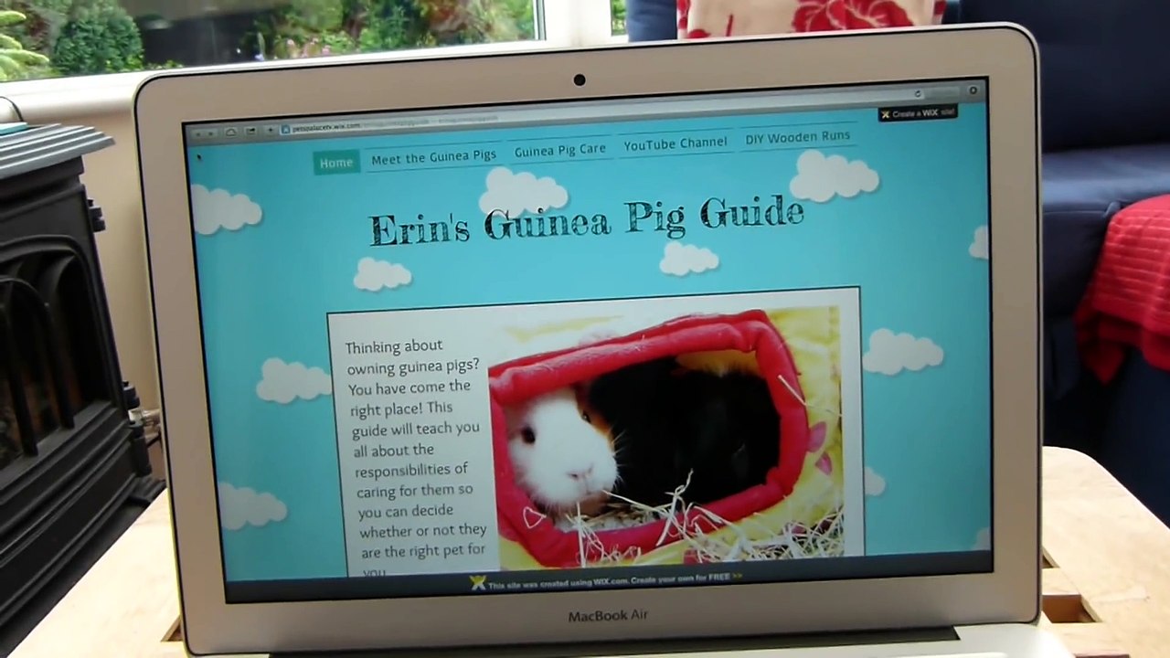 Erin s Guinea Pig Guide!