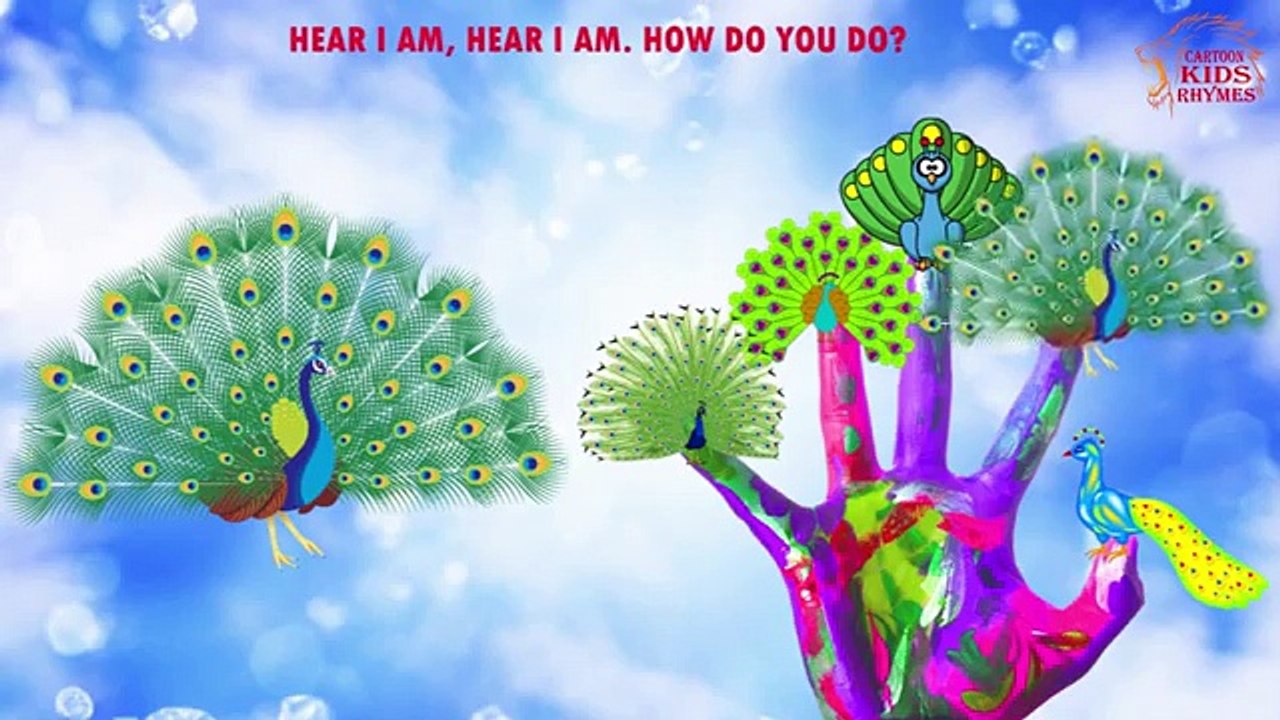 Peacock Finger Family | Animal Finger Family | Finger Family Rhymes | Children For Songs