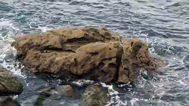 Rock on the ocean - Free HD Video Clips & Stock Video Footage at Videezy!