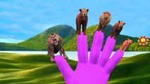 Finger Family Lion Vs Elephant Cartoons | King Kong Tiger Finger Family Nursery Rhymes