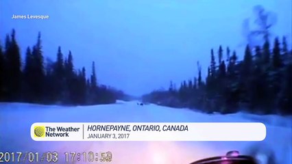 Car narrowly avoids moose!