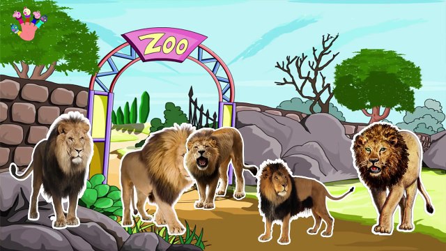 Finger Family Rhymes Lion Cartoons Daddy Finger Family Song Children Nursery Rhymes