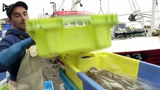 Bretagne - les pêcheurs plutôt satisfaits des quotas de pêche-jeOAUz3ta2Q