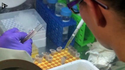 Un vaccin 100% efficace contre Ebola-HuEwhOZxiFw