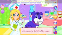 Animal Doctor Care. Care of Pets. A Pregnant Dog Care. Kids Game App.
