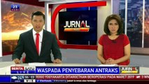 16 Warga Kulon Progo Diduga Terjangkit Antraks