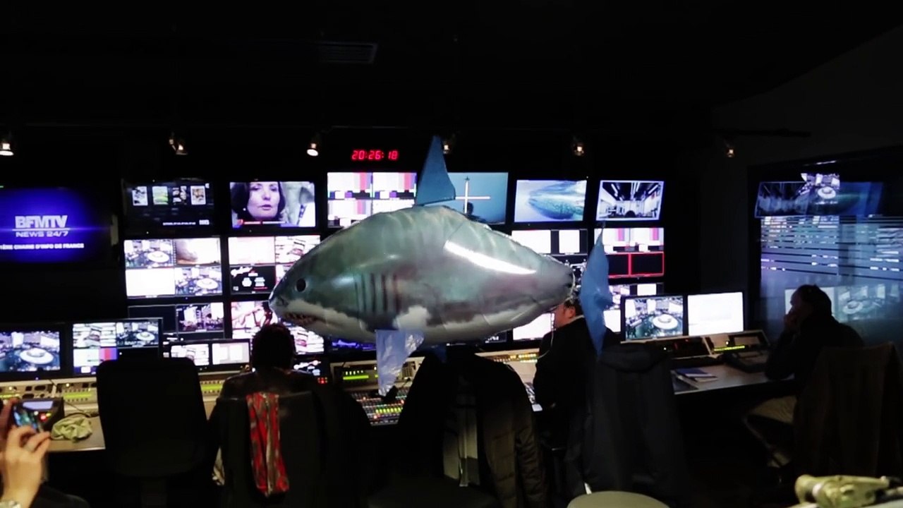Les requins s'installent sur CANAL  - Les Requins De La Colère-gcnmDzMU7ks