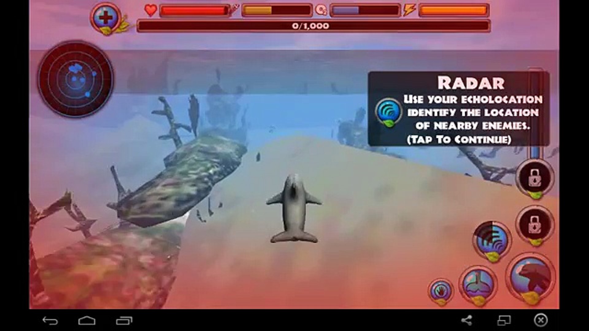 ⁣Dolphin Simulator - for Android and iOS GamePlay