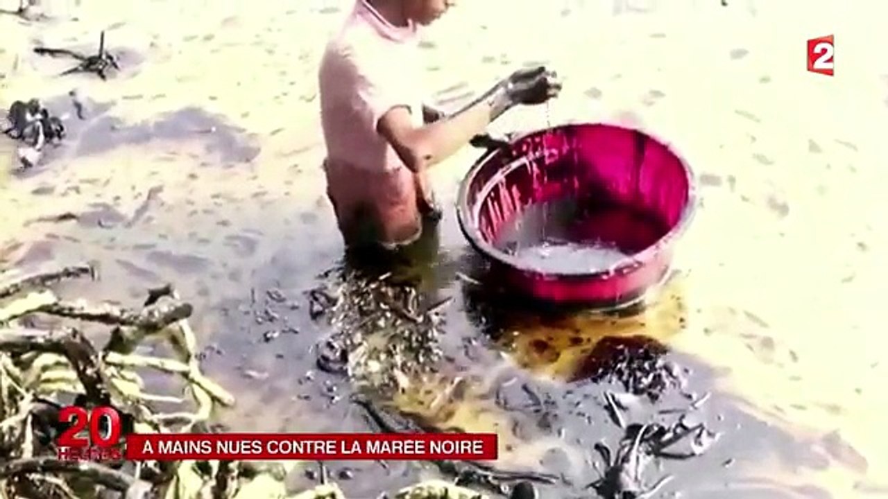 La mangrove, un trésor national menacé au Bangladesh-Gbne-97sskk