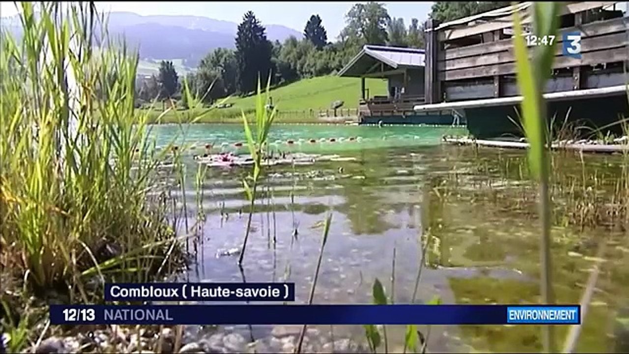 Les piscines 100% bio séduisent-8FjCi-h6sns