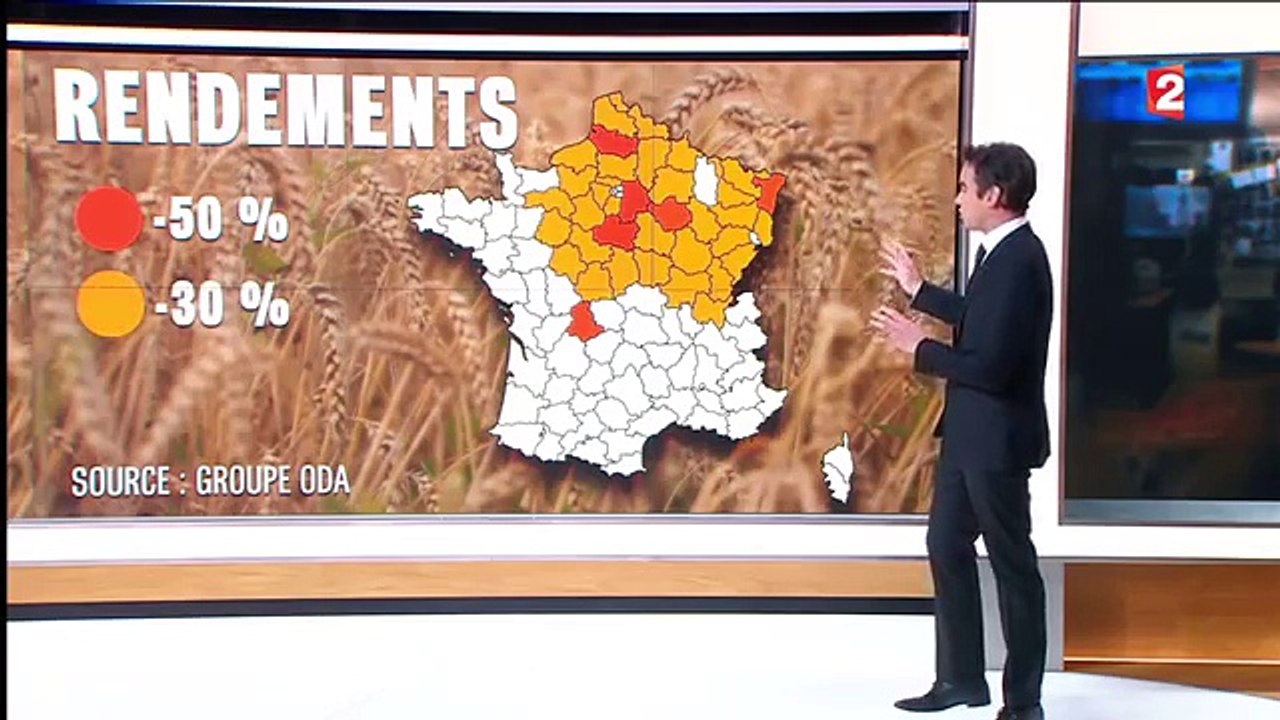 Mauvaises récoltes  - 4 milliards d'euros de perte pour les céréaliers-3Z3KJEws8jM