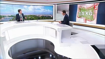 Santé  - les bienfaits des bactéries-g9z_tDvUxuw