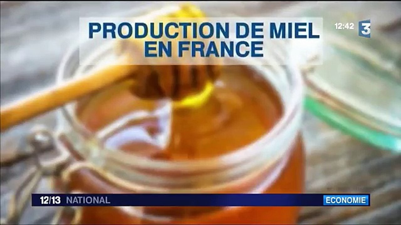 Abeilles en danger-qLcSY5Omo1w