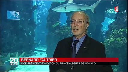 Environnement - à qui appartient la haute mer -xfCEHM9nHsg