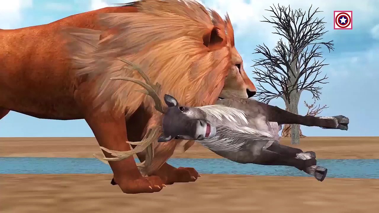 African Lion Hunting Deer Animal Videos for Children | Lion Vs Deer Animal Attacks Cartoon Video