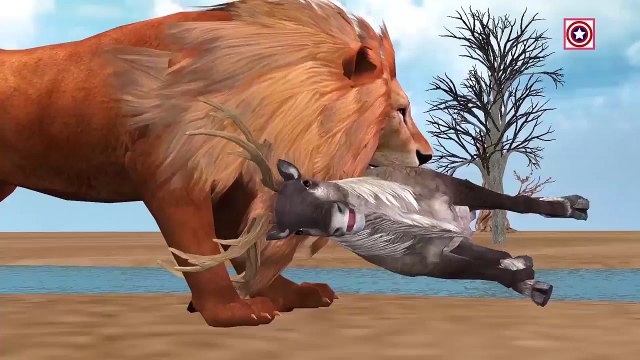 African Lion Hunting Deer Animal Videos for Children | Lion Vs Deer Animal Attacks Cartoon Video