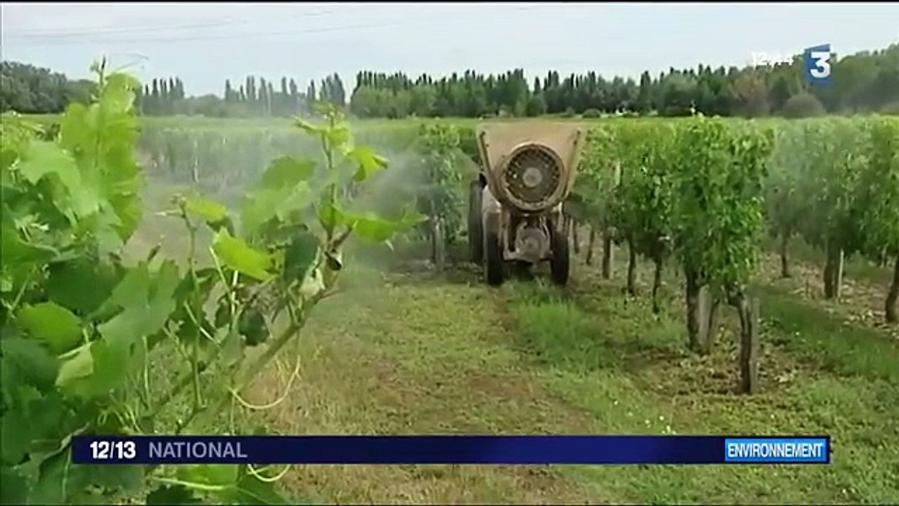 Pesticides pénètrent dans les maisons-nSCkVWdzJ0w