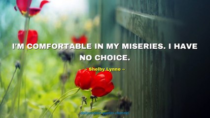Shelby Lynne Quotes #2