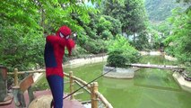 HULK vs SPIDERMAN going to fishing and joker fish stealing - Fun superhero in real life