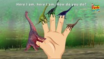 3D Brachiosaurus Dinosaur Animation Finger ♕ Dinosaur Carnivore VS Herbivore Family Finger
