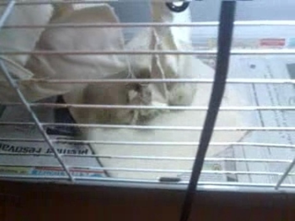 Vidéo003