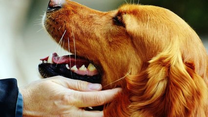 10 dinge, die Lehrer nicht dürfen!-4_KdN_jQIsc