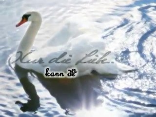 ..& nur die Liebe kann den Fluch brechen.-pnNcvNrzCis