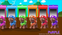 Skye and Zuma Paw Patrol Colors For Children To Learn - Skye and Zuma Learning Colours for Kids