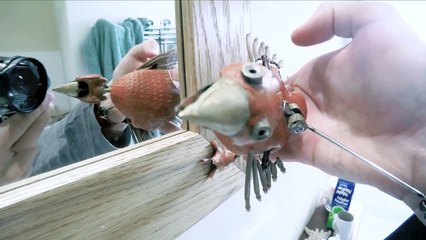 Dabchick ~37~ MIRRORS-dk9kil61pmw