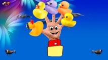 Finger Family Duck - Family Nursery Rhyme - Duck Finger Family Songs - Family Finger Duck - HD