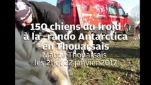 VIDEO. CHIENS DE TRAINEAU A MAUZE