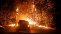 Cile: emeregenza incendi a livello nazionale