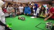 Battle of the machines - Robots compete in football final at World Robotics Olympiad 2016-rAUNhIKUGvc